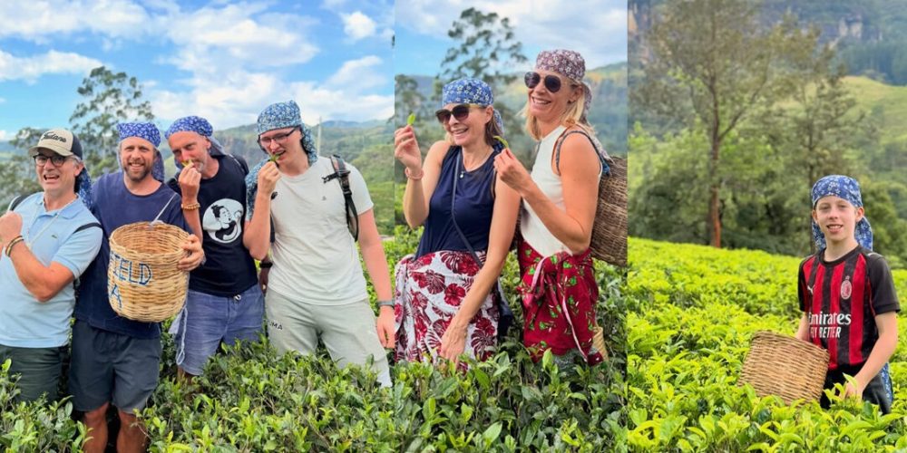 Sri lanakan Tea